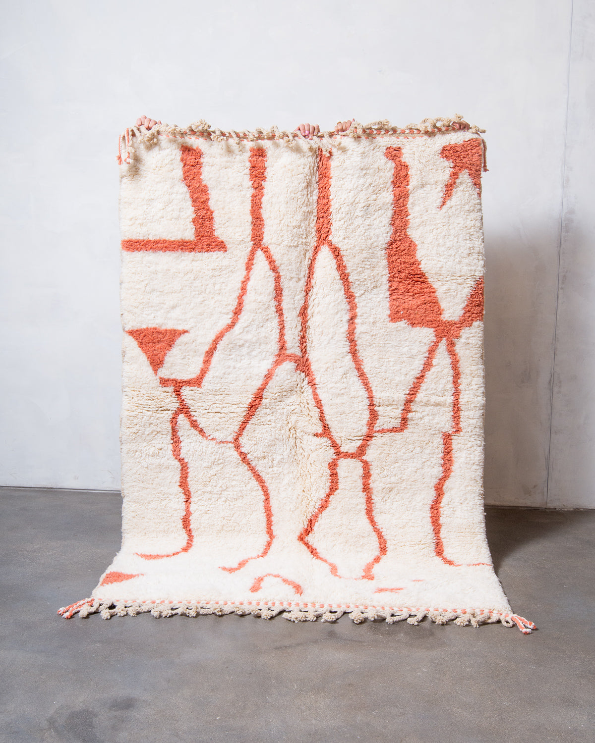 Modern, designer, handcrafted Berber rug from Morocco. Beniourain carpet with beautiful colours and patterns and fluffy wool texture.